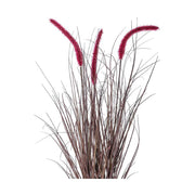 Padlizsán színű kalászokkal rendelkező, 73 cm magas mű tollborzfű bokor, fekete műanyag kaspóban.