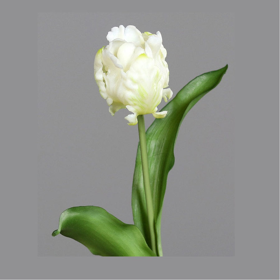 Fehér színű, papagáj tulipán művirág.