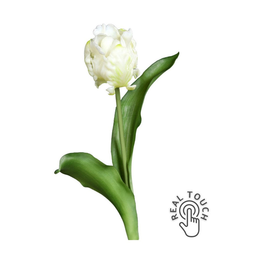 Fehér színű, papagáj tulipán művirág.