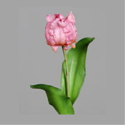 Lilásrózsaszín színű, papagáj tulipán művirág.