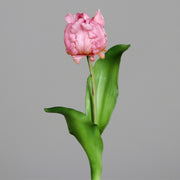 Lilásrózsaszín színű, papagáj tulipán művirág.