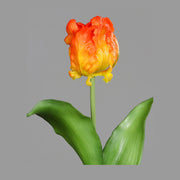 Narancssárga színű, papagáj tulipán művirág.