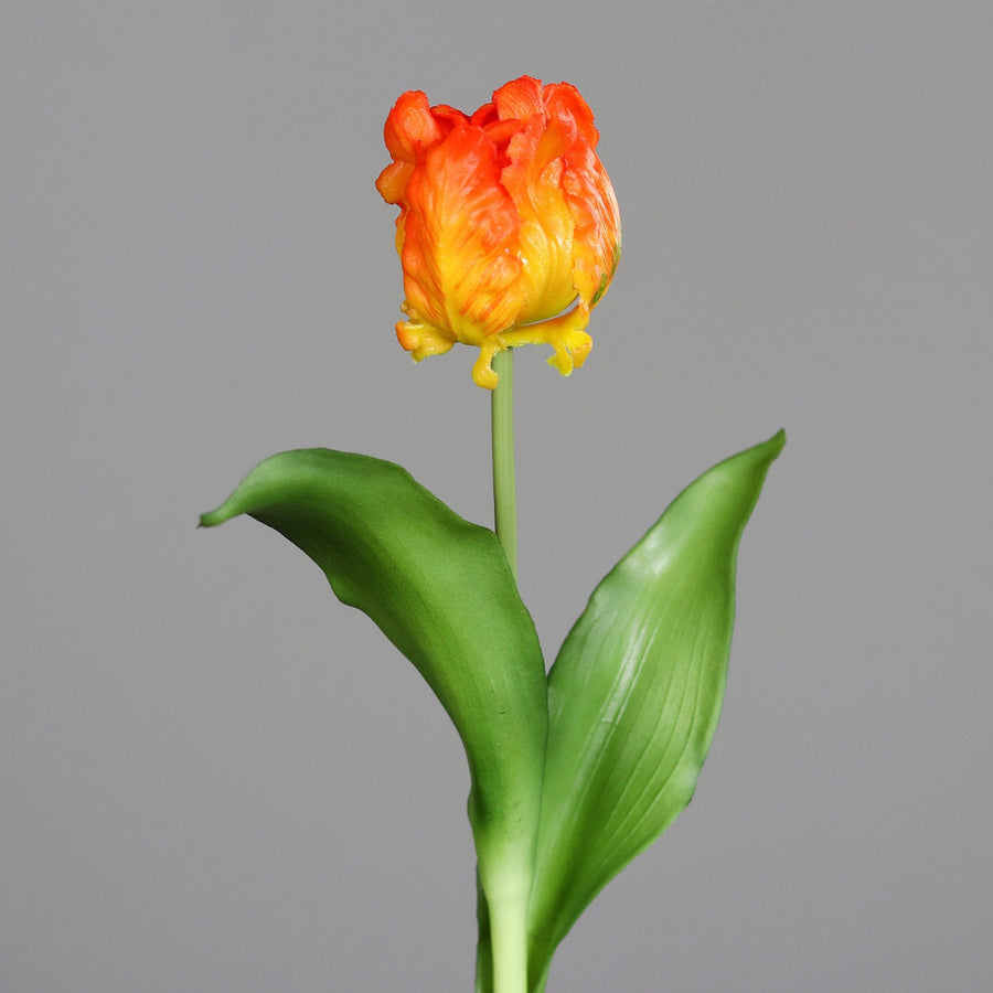 Narancssárga színű, papagáj tulipán művirág.