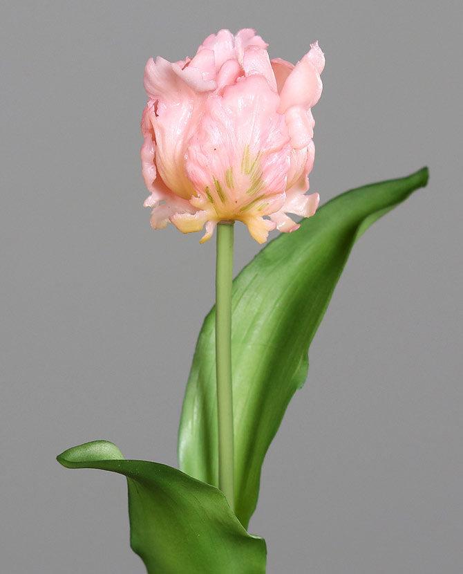 Rózsaszín színű, papagáj tulipán művirág.