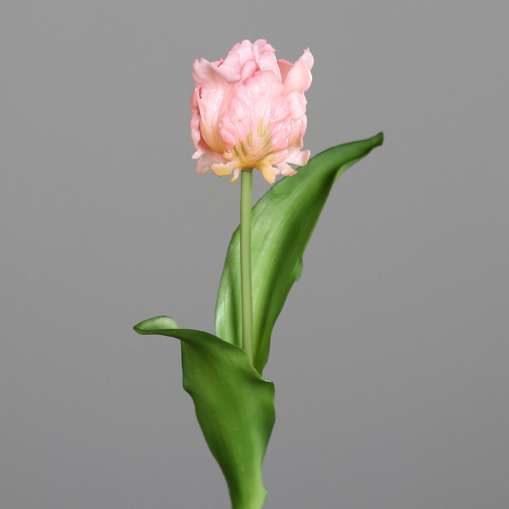 Rózsaszín színű, papagáj tulipán művirág.