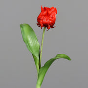 Piros színű, papagáj tulipán művirág.