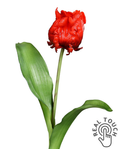 Piros színű, papagáj tulipán művirág.