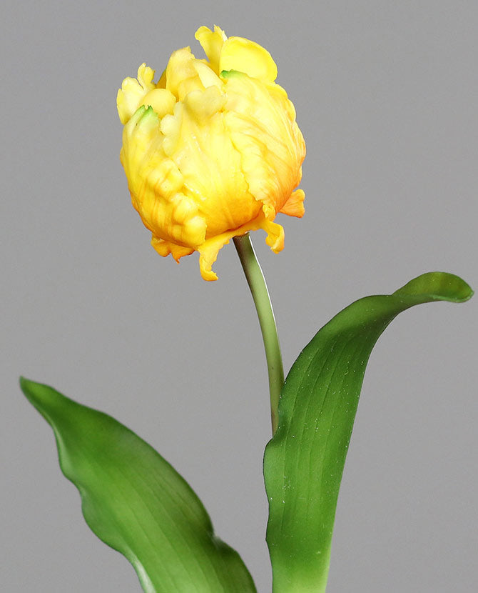 Sárga színű, papagáj tulipán művirág.