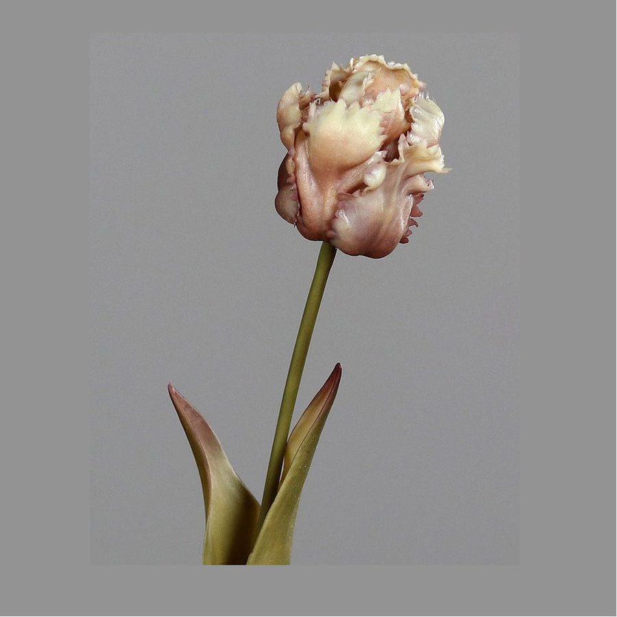 Fáradt barna színvilágú, vintage stílusú, papagáj tulipán művirág.