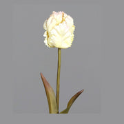 Fáradt krém színvilágú, vintage stílusú, papagáj tulipán művirág .