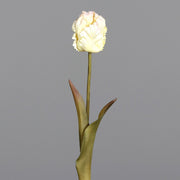 Fáradt krém színvilágú, vintage stílusú, papagáj tulipán művirág .