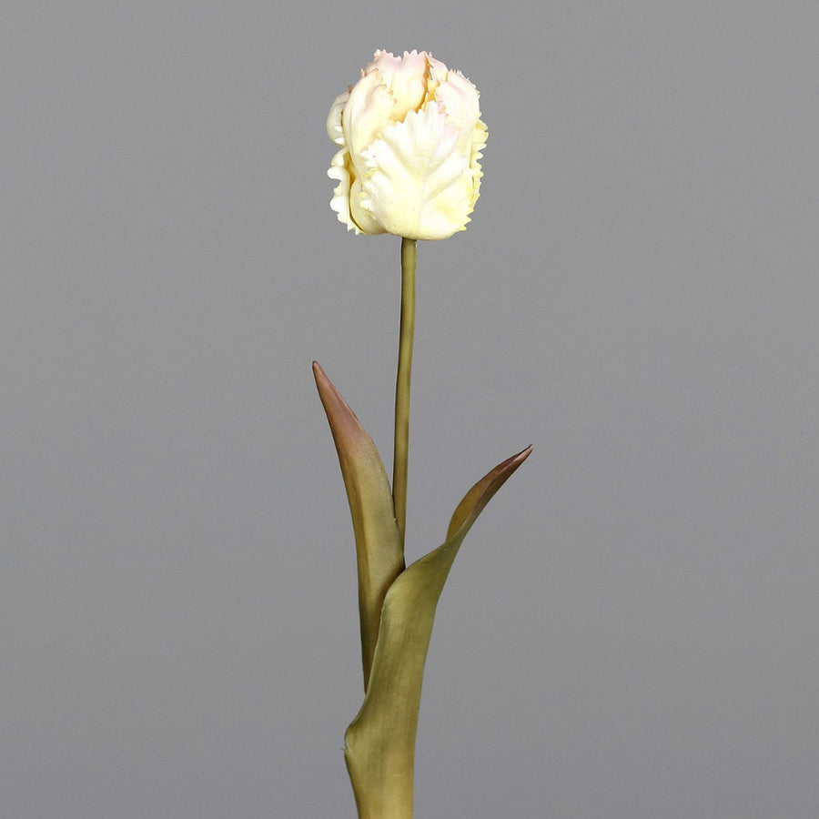 Fáradt krém színvilágú, vintage stílusú, papagáj tulipán művirág .