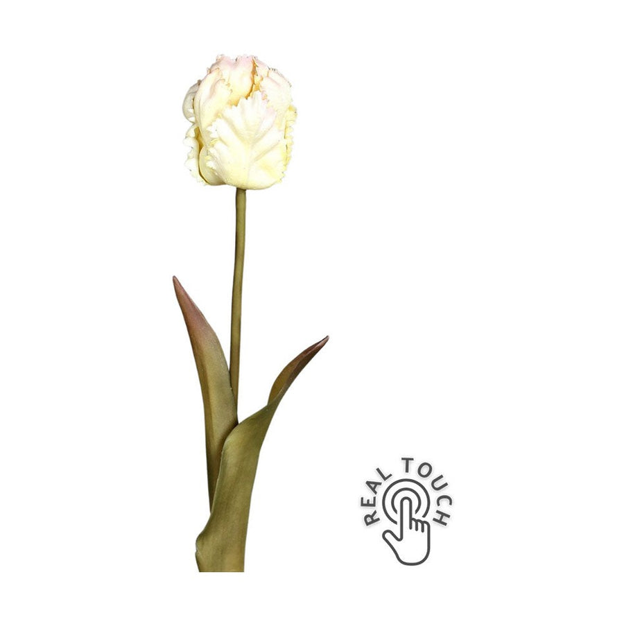 Fáradt krém színvilágú, vintage stílusú, papagáj tulipán művirág .