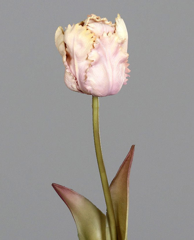 Fáradt rózsaszín színvilágú, vintage stílusú, papagáj tulipán művirág.