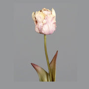 Fáradt rózsaszín színvilágú, vintage stílusú, papagáj tulipán művirág.