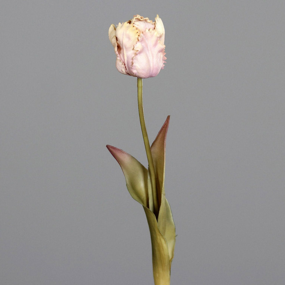 Fáradt rózsaszín színvilágú, vintage stílusú, papagáj tulipán művirág.