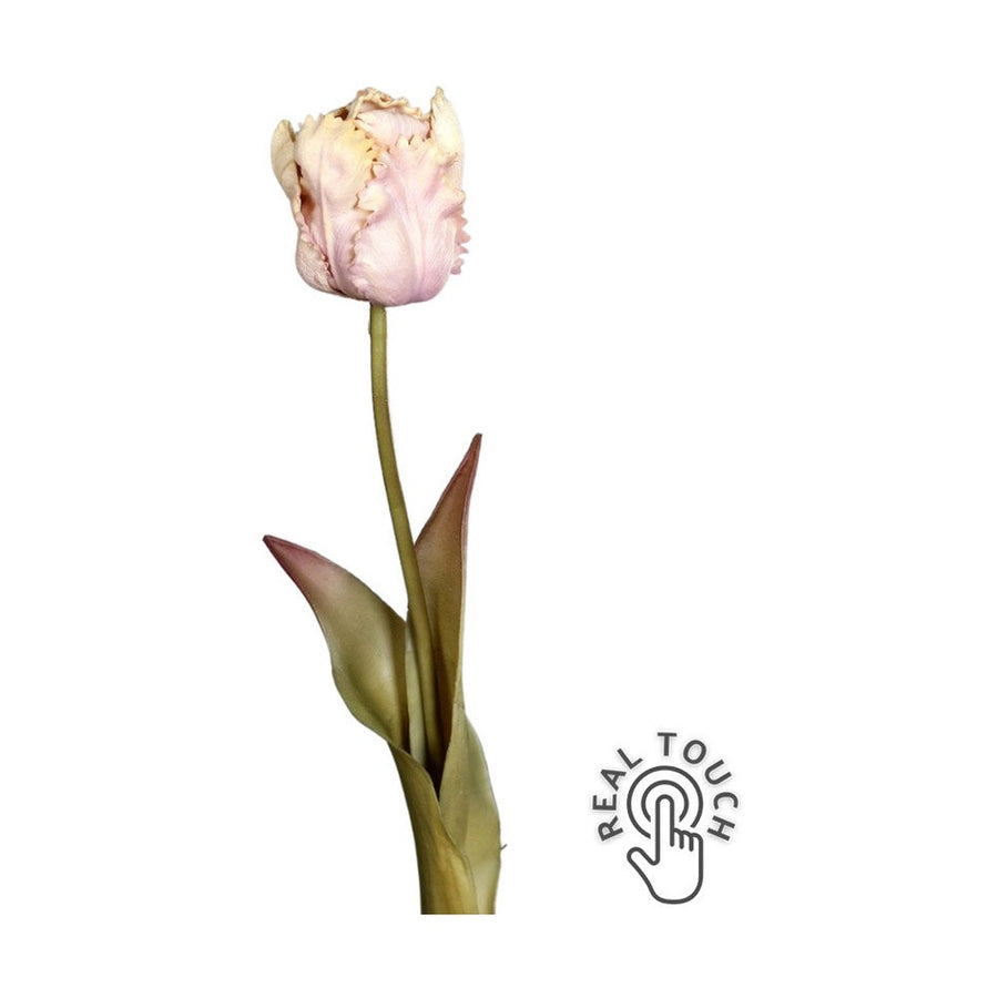 Fáradt rózsaszín színvilágú, vintage stílusú, papagáj tulipán művirág.