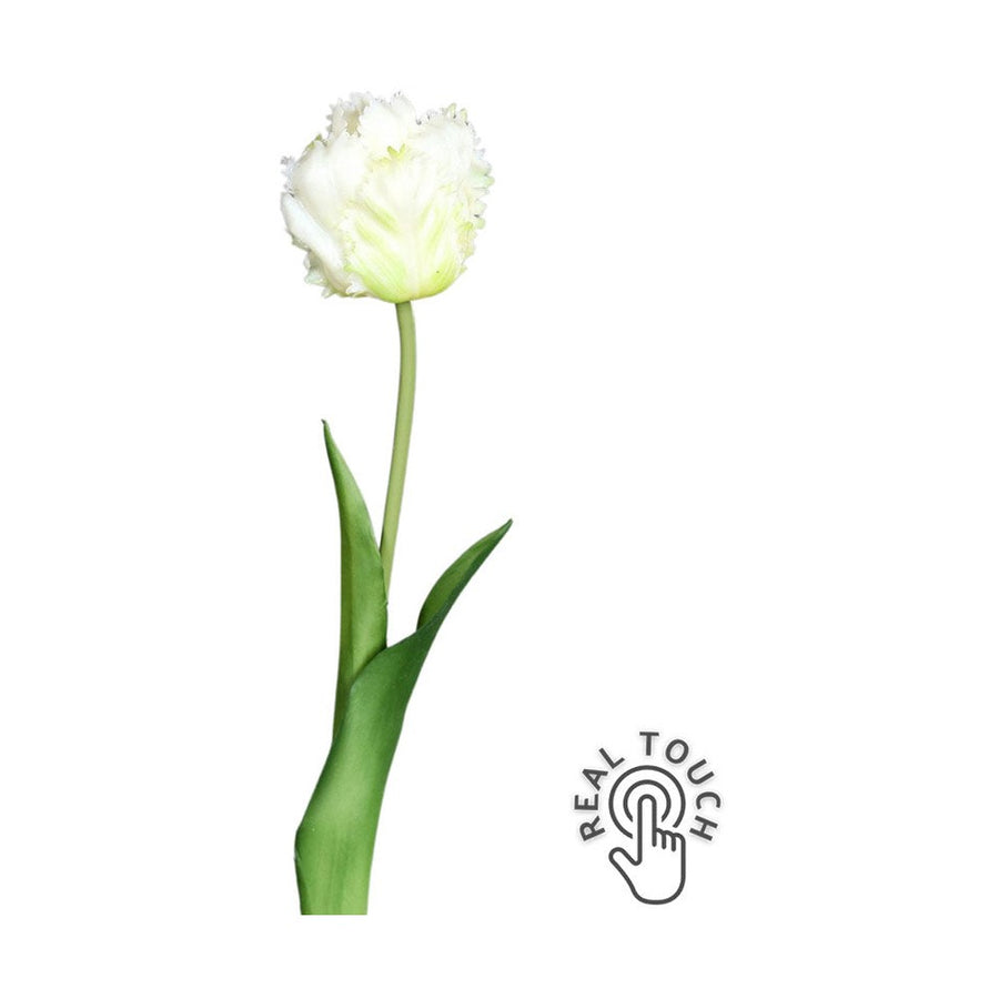 Fehér színű, papagáj tulipán művirág.