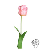 Rózsaszín színű, papagáj tulipán művirág.