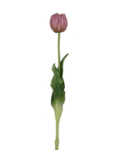 Élethű megjelenésű, mályva színű nyílt virágú mű tulipán