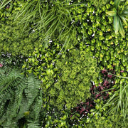 Mű páfrányokból, füvekből és virágokból készült, 100 cm hosszú és 100 cm széles, UV álló mesterséges növényfal panel .