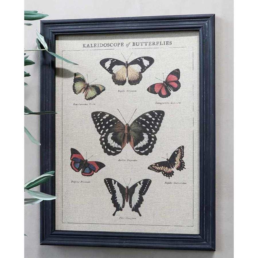 Lepkék botanikai rajza vászonnyomaton antik fekete színű vintage fa képkeretben